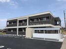 グローリアオオフクの外観