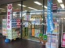 ヤマシン西川店(ドラッグストア)まで734m サンジェルマン番町