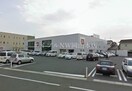 ユニクロ岡山中仙道店(ショッピングセンター/アウトレットモール)まで667m メゾン・シャルマン Ｂ
