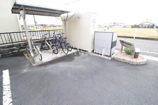  プリムローズ白石