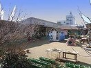 岡山野田屋町郵便局(郵便局)まで148m シャーメゾンルッカ