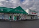ザグザグ小山店(ドラッグストア)まで1271m グレイス　ＹＯＵ　Ⅱ