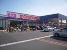 山陽マルナカ高柳店(スーパー)まで273m パステルみらい