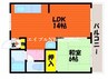 コーポラストピアⅡ番館 1LDKの間取り