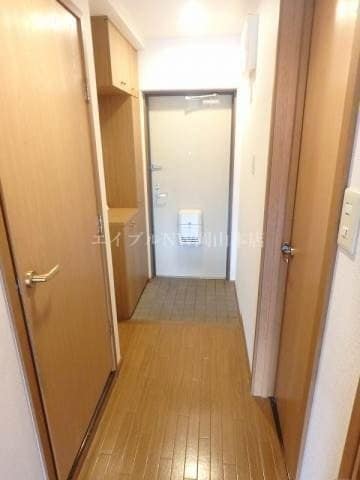  パルテール桑の木