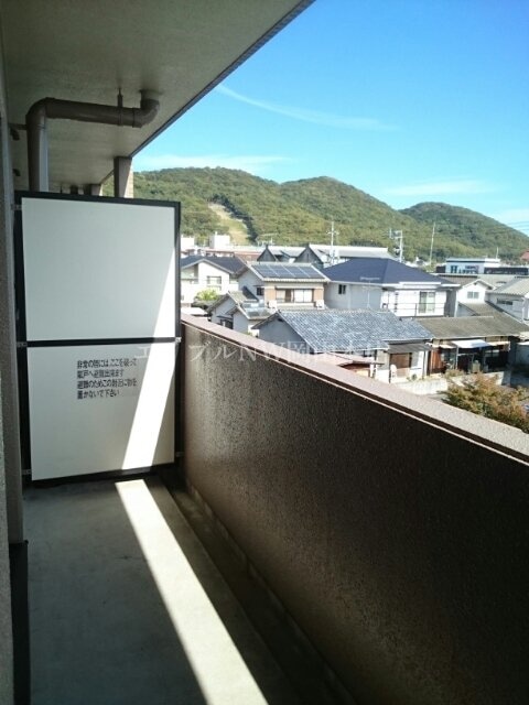  パルテール桑の木