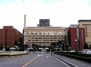 岡山県精神科医療センター(病院)まで773m ピュアベルデ大供