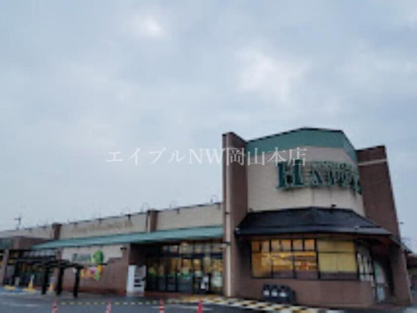 天満屋ハピーズ泉田店(スーパー)まで735m REGALEST LUCENTE