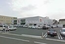 ユニクロ岡山十日市店(ショッピングセンター/アウトレットモール)まで319m メゾンカルム富田B棟