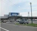 ダイキ豊浜店(電気量販店/ホームセンター)まで610m レオパレス浜野南