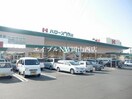 ハローズ庭瀬店(スーパー)まで1074m ニューガーデン壱番館