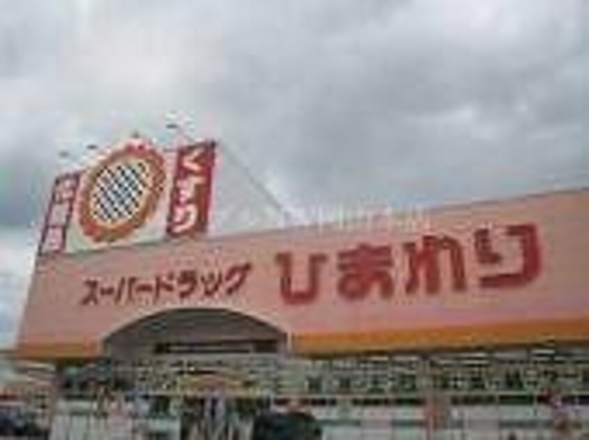 スーパードラッグひまわり(ドラッグストア)まで776m 箕島ハイツ
