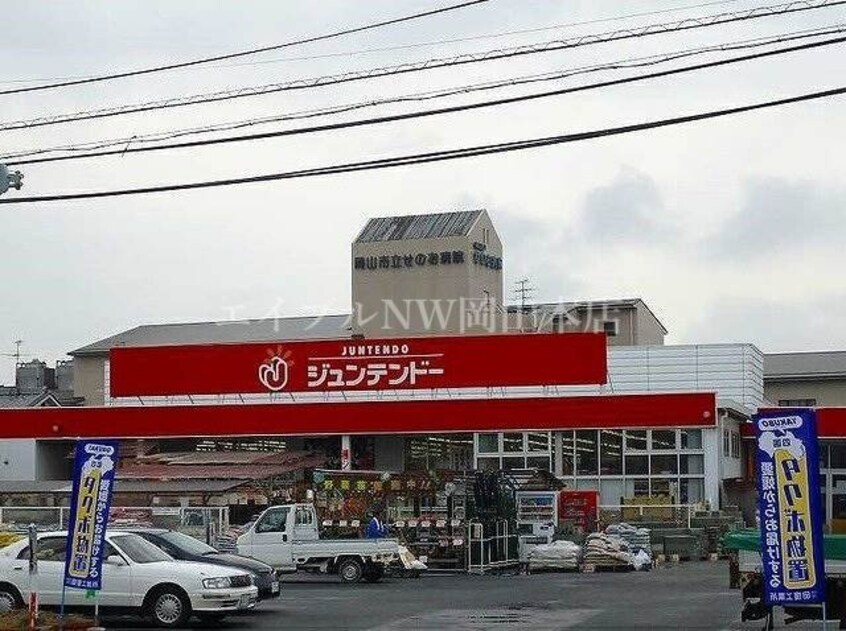 ホームセンタージュンテンドー妹尾(電気量販店/ホームセンター)まで1007m 箕島ハイツ