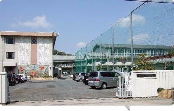 岡山市立石井中学校(中学校/中等教育学校)まで516m ジュネス西崎