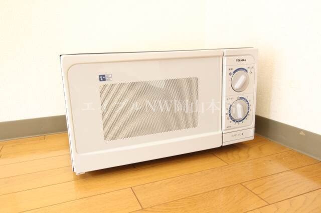  ヴェリタス