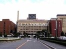 岡山県精神科医療センター(病院)まで421m うてんて