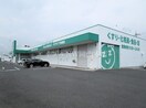ザグザグ下中野店(ドラッグストア)まで738m Forest Valley　Ａ棟