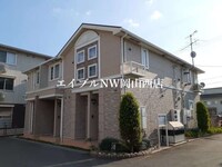 ハナミズキ　Ａ