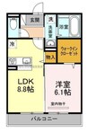イヴェール 1LDKの間取り