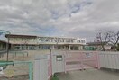 岡山市立今幼稚園(幼稚園/保育園)まで597m カーサ大薮