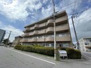 びなす11の外観