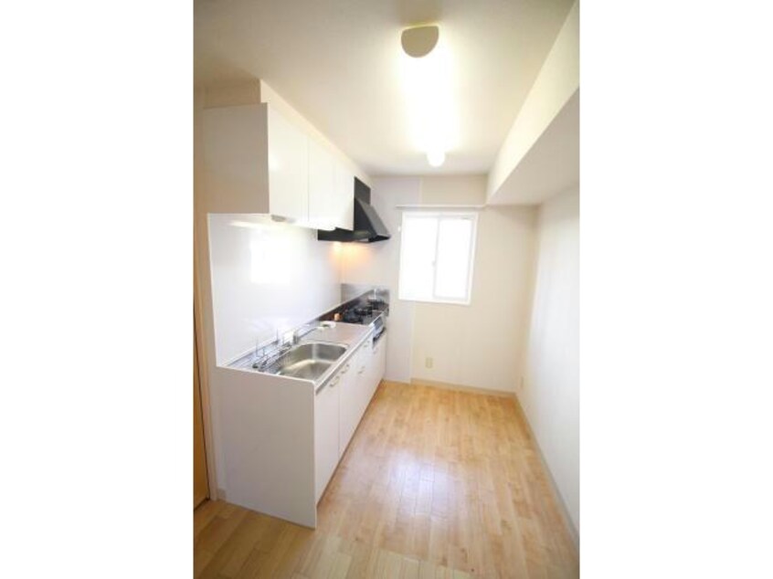  グランディスビューティー