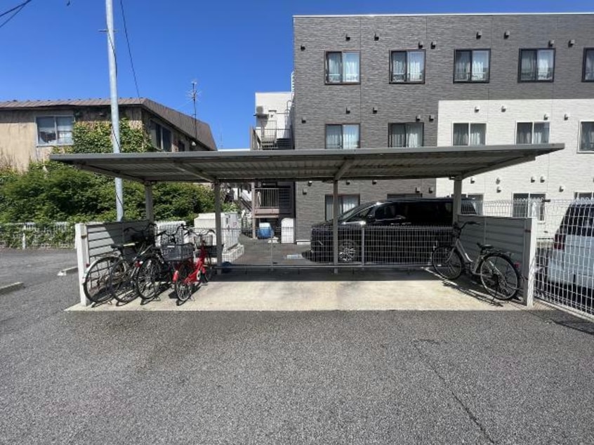  クラスターラティア