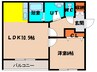 メゾンパティオ神山 1LDKの間取り