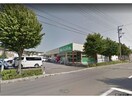 生鮮げんき市場榎本店(スーパー)まで1044m 工藤マンション