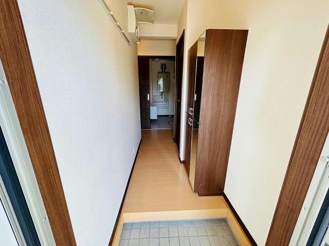  サンモール桔梗