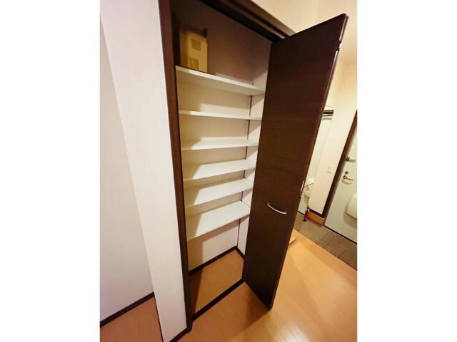  サンモール桔梗