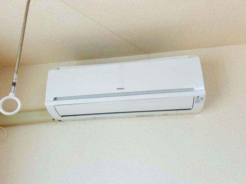  サンモール桔梗