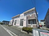 エスペランス桔梗