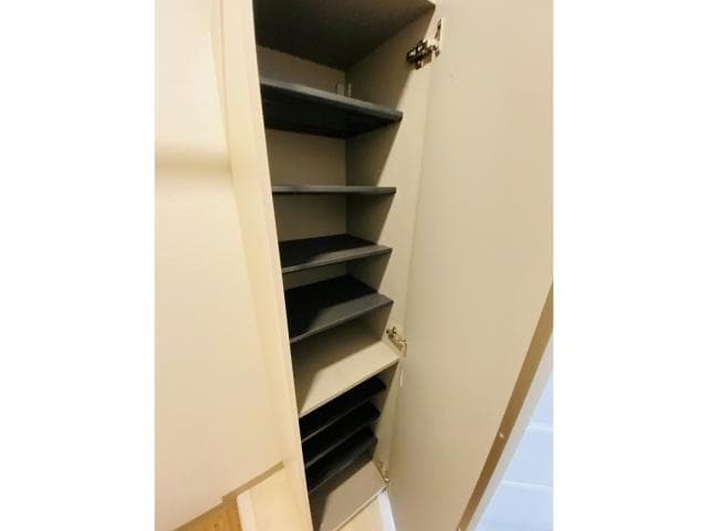  フィフティワンVol.Ⅵ