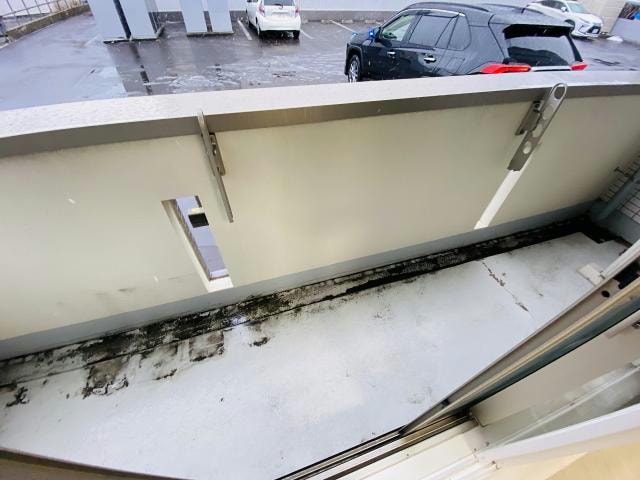  フィフティワンVol.Ⅵ