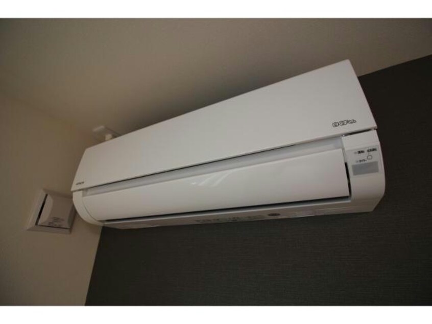  Lechien ルシアン