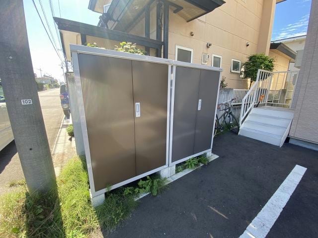  アンジェリカエール