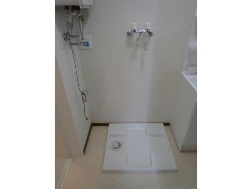  アンジェリカエール