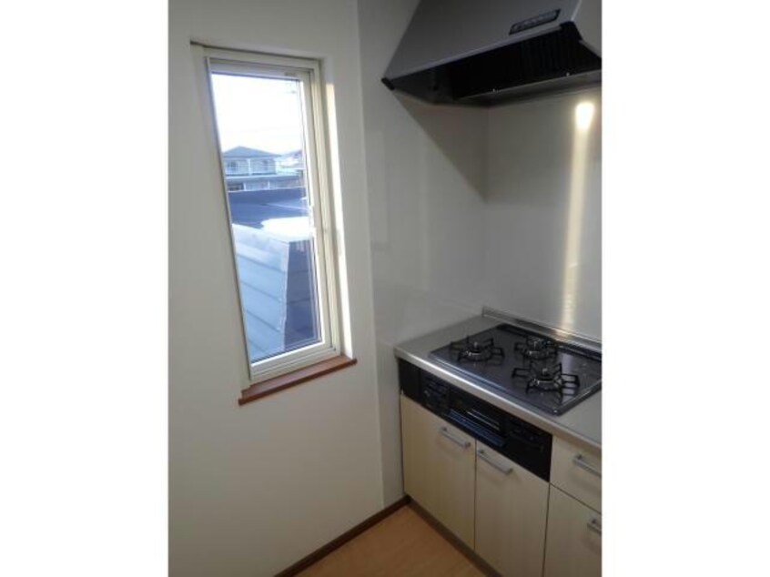  アンジェリカエール