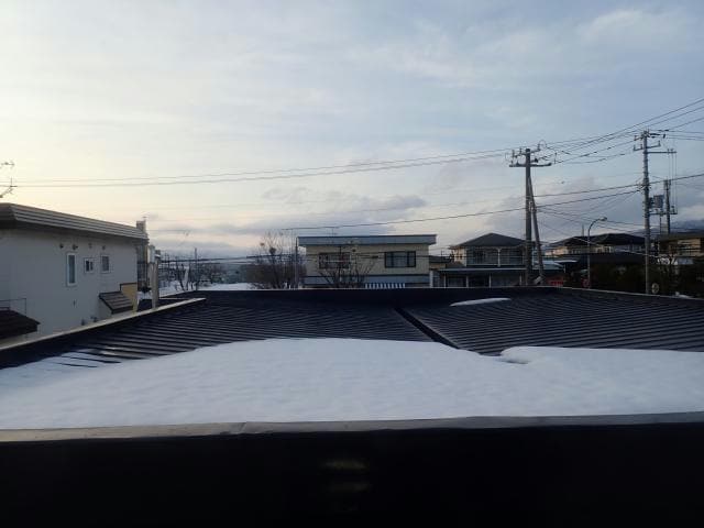  アンジェリカエール