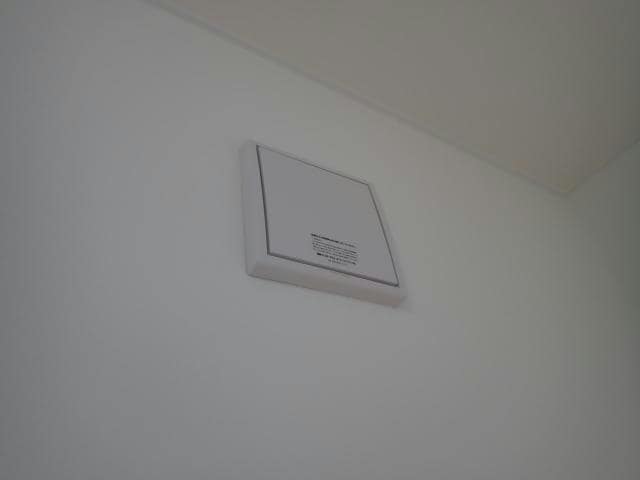  アンジェリカエール