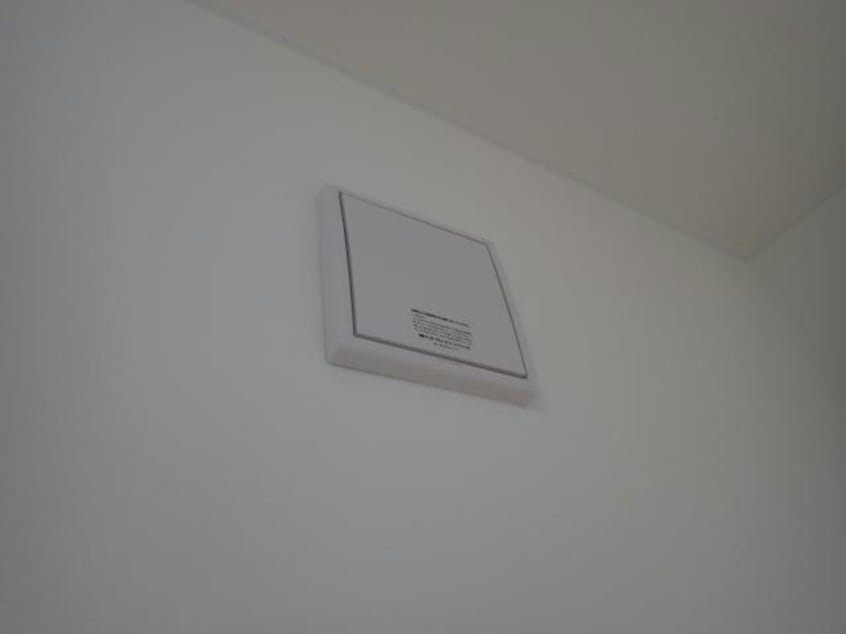  アンジェリカエール