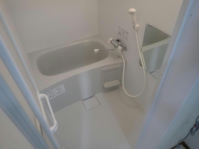  アンジェリカエール