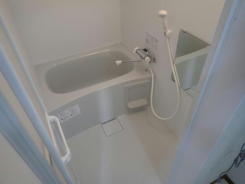  アンジェリカエール