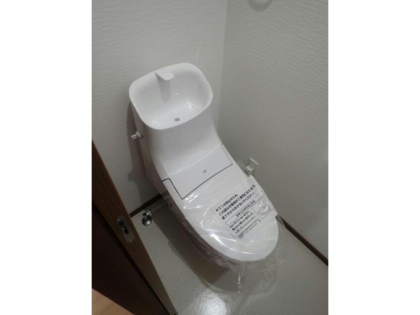  アンジェリカエール