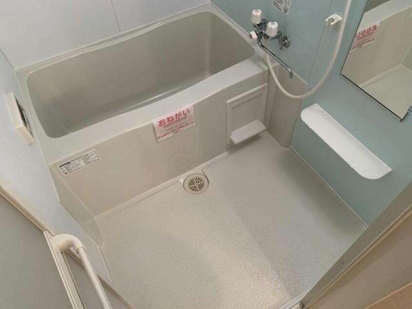  カーサ プラシード