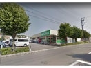 生鮮げんき市場榎本店(スーパー)まで1766m メゾンKT5号館