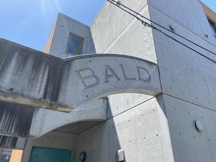  BALD五稜郭