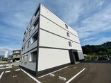 グルーヴコート桔梗