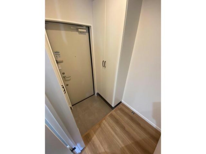  norfino Couleur【ノルフィーノクルール】